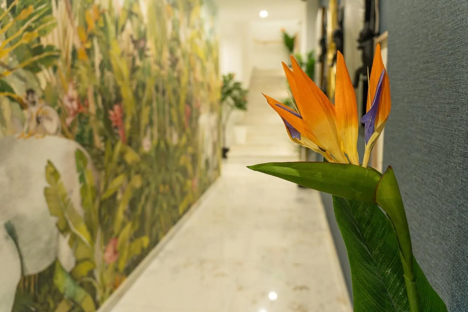 Safira Suites 302 Funchal  Apartmán Funchal (Madeira)